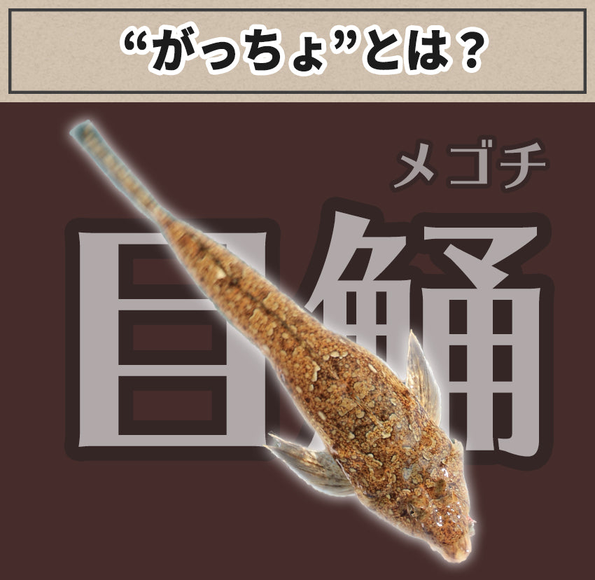 【大阪泉州名物】おつまみ がっちょ から揚げ 10袋セット スタンダード味